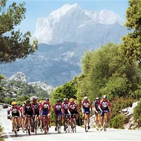 Nadine Playa de Palma (Mallorca)