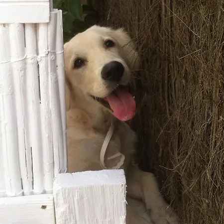 Daire Nadine Playa de Palma (Mallorca)