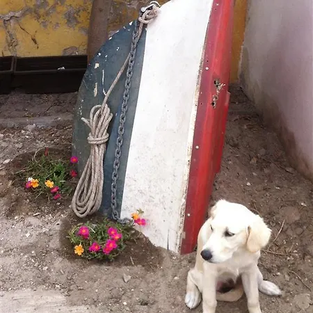 Nadine Daire Playa de Palma (Mallorca)