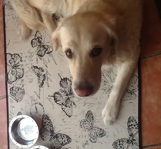 Nadine Playa de Palma (Mallorca)