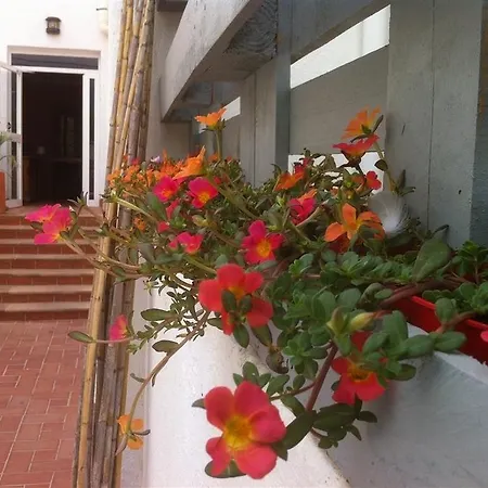 Apartamento Nadine *