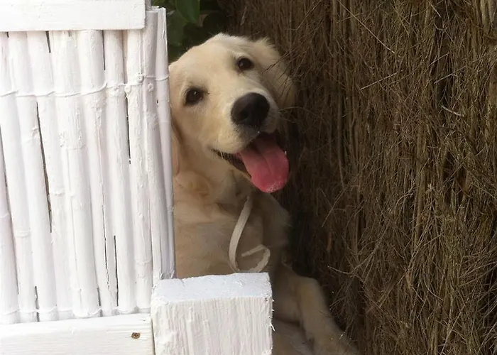 Apartament Nadine Playa de Palma (Mallorca)