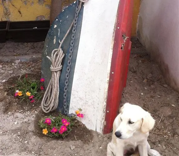 Nadine Apartament Playa de Palma (Mallorca)